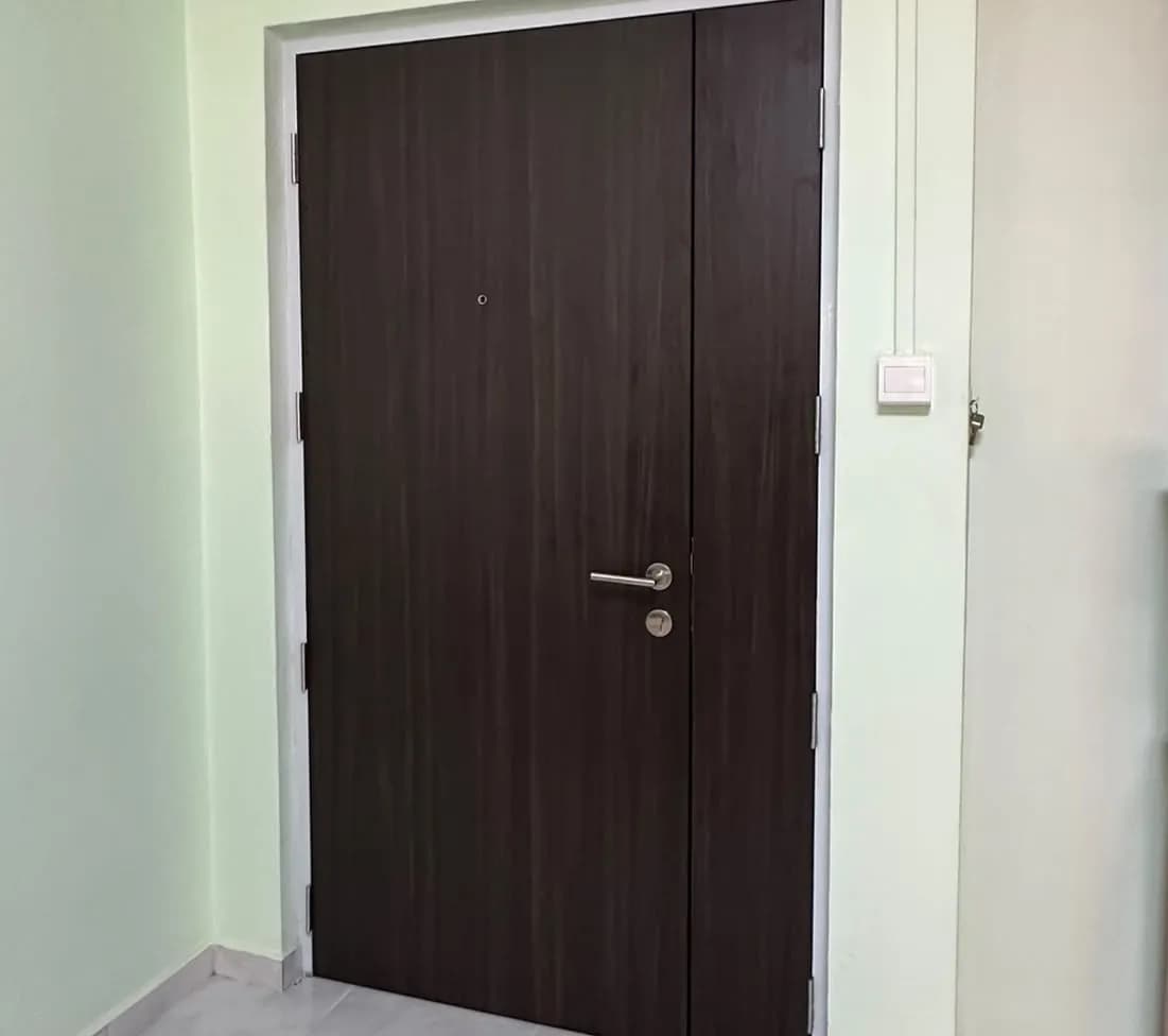 Door Repair & Relamination